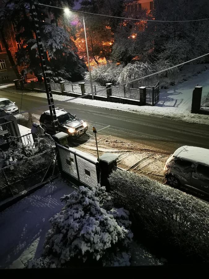 Mario Bezplatny Parking